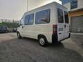 Fiat Ducato PULLMINO 9 POSTI VERSIONE ALTA Blanco - thumbnail 6