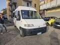 Fiat Ducato PULLMINO 9 POSTI VERSIONE ALTA Blanco - thumbnail 7