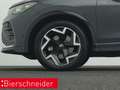 Volkswagen Tiguan 2.0 TDI DSG RLine 5.-J.-GAR IQ-LIGHT AHK ALU 19 Grau - thumbnail 22