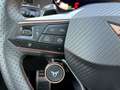 CUPRA Terramar 1.5 e-TSI 150 PS DSG Blau - thumbnail 12