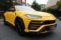 Lamborghini Urus 4.0 V8 Pano/HuD/B&O/Softclose/Service neu Jaune - thumbnail 6