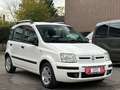 Fiat Panda 1.2 8V Emotion*TÜV*INS* Weiß - thumbnail 5