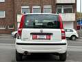 Fiat Panda 1.2 8V Emotion*TÜV*INS* Weiß - thumbnail 10
