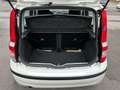 Fiat Panda 1.2 8V Emotion*TÜV*INS* Weiß - thumbnail 23