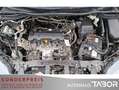 Honda CR-V Elegance 4WD 2.0 i-VTEC AHK LM SHZ RFK Klim Braun - thumbnail 13