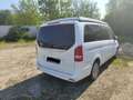 Mercedes-Benz Marco Polo Mercedes Marco Polo 250d | Camping-car de Luxe Blanc - thumbnail 5