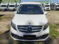 Mercedes-Benz Marco Polo Mercedes Marco Polo 250d | Camping-car de Luxe Blanc - thumbnail 2