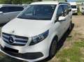 Mercedes-Benz Marco Polo Mercedes Marco Polo 250d | Camping-car de Luxe Blanc - thumbnail 3