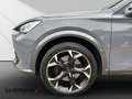 CUPRA Formentor 2.0 4Drive*Memory*Navi*CarPlay*Winter* Grau - thumbnail 11