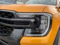 Ford Ranger e-4WD Doppelkabine Wildtrak+LED+B&O+Kamera Orange - thumbnail 6
