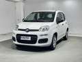 Fiat Panda Pandina 1.0 firefly hybrid Icon s&s 70cv 5p.ti Bianco - thumbnail 1