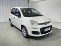 Fiat Panda Pandina 1.0 firefly hybrid Icon s&s 70cv 5p.ti Bianco - thumbnail 7