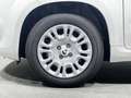 Fiat Panda Pandina 1.0 firefly hybrid Icon s&s 70cv 5p.ti Bianco - thumbnail 9