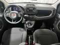 Fiat Panda Pandina 1.0 firefly hybrid Icon s&s 70cv 5p.ti Bianco - thumbnail 12