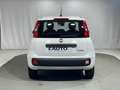 Fiat Panda Pandina 1.0 firefly hybrid Icon s&s 70cv 5p.ti Bianco - thumbnail 4