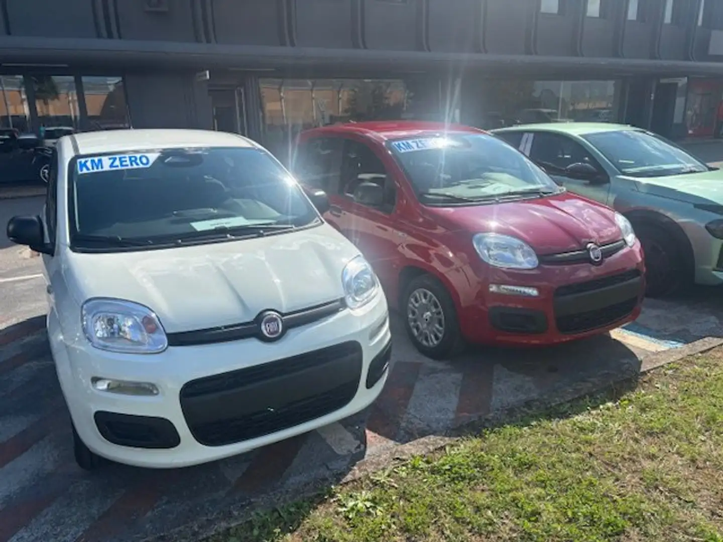 Fiat Panda Panda 1.0 FireFly S&S Hybrid Icon - 2