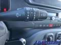 Fiat Panda Mild Hybrid EU6d MY25 1.0 Klima PDC DAB Spurhaltea Azul - thumbnail 22