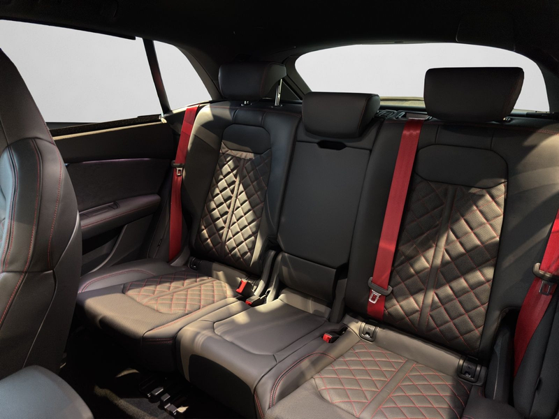 Audi Q8 SUV S line business TDI quattro 210 kW tiptro — photo 14