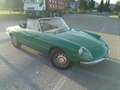 Alfa Romeo Spider Duetto osso di seppia - thumbnail 1