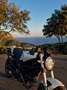 Ducati Monster 696 + Bianco - thumbnail 12