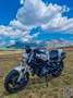Ducati Monster 696 + Bianco - thumbnail 5