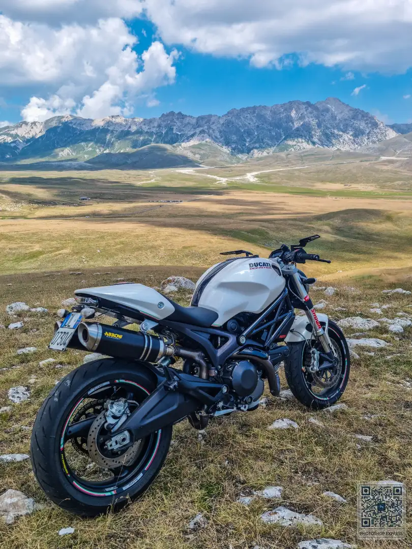 Ducati Monster 696 + Bianco - 1