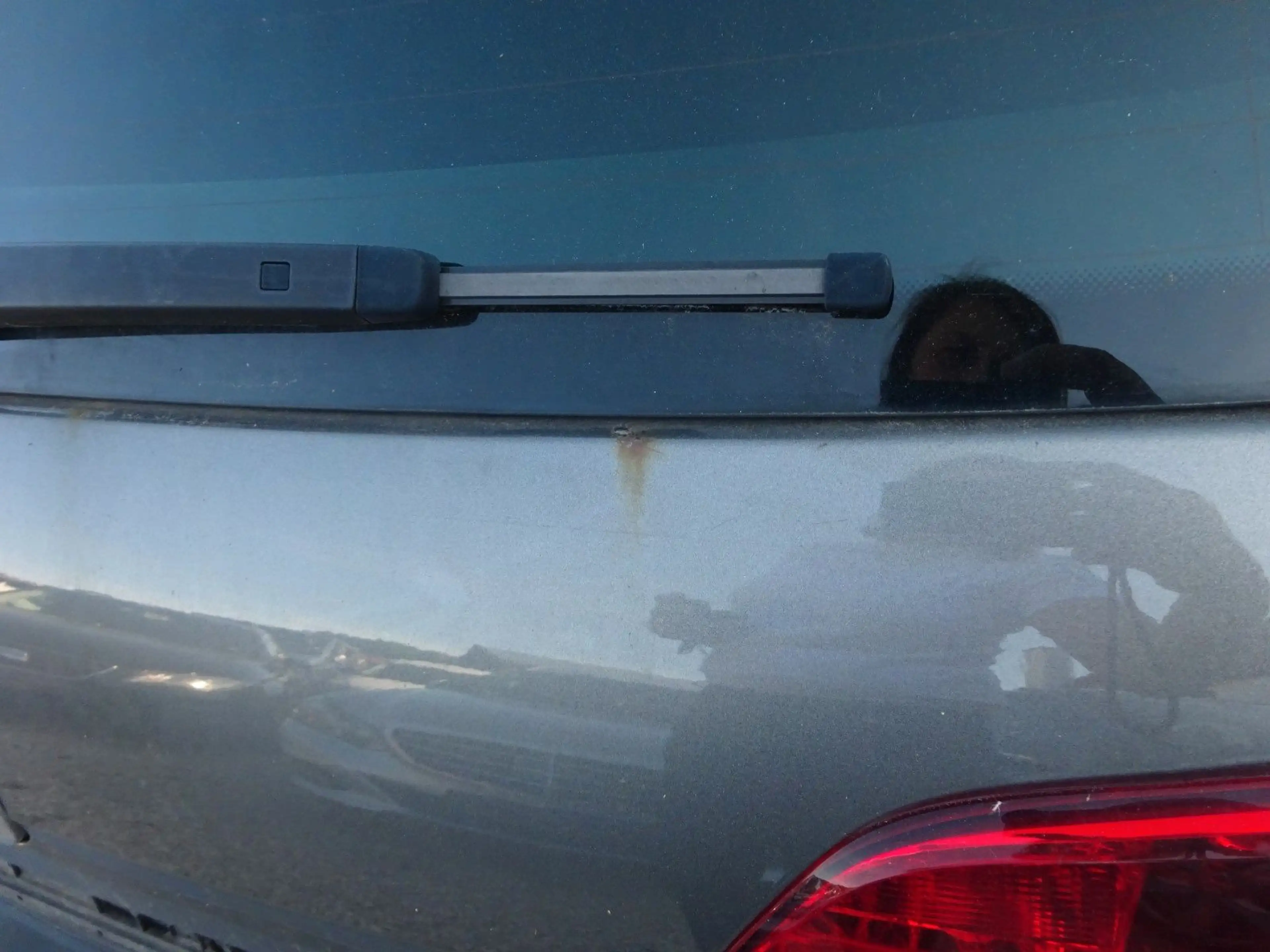 Volkswagen Golf VII Var.Highline BMT/ Euro 5 — photo 13