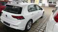 Volkswagen Golf Golf 1.5 TSI OPF Life Weiß - thumbnail 3