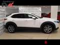 Mazda CX-30 2.0 Skyactiv-G Zenith Safety 2WD 90kW Blanco - thumbnail 8