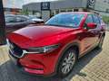 Mazda CX-5 SKYACTIV-G 194 FWD 5T 6AG Sports-Line Rot - thumbnail 1