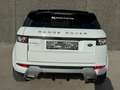 Land Rover Range Rover Evoque Evoque 2.2  2WD Dynamic//XENON/CAMERA/ GARANTIE Wit - thumbnail 5