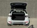 Land Rover Range Rover Evoque Evoque 2.2  2WD Dynamic//XENON/CAMERA/ GARANTIE Wit - thumbnail 9