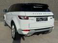 Land Rover Range Rover Evoque Evoque 2.2  2WD Dynamic//XENON/CAMERA/ GARANTIE Wit - thumbnail 4
