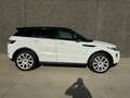 Land Rover Range Rover Evoque Evoque 2.2  2WD Dynamic//XENON/CAMERA/ GARANTIE Wit - thumbnail 8