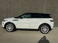 Land Rover Range Rover Evoque Evoque 2.2  2WD Dynamic//XENON/CAMERA/ GARANTIE Wit - thumbnail 7