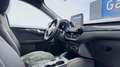 Ford Kuga 2.5 EcoBoost FWD PHEV ST-Line *GPS+CAMERA*LED*CUIR Blanc - thumbnail 12