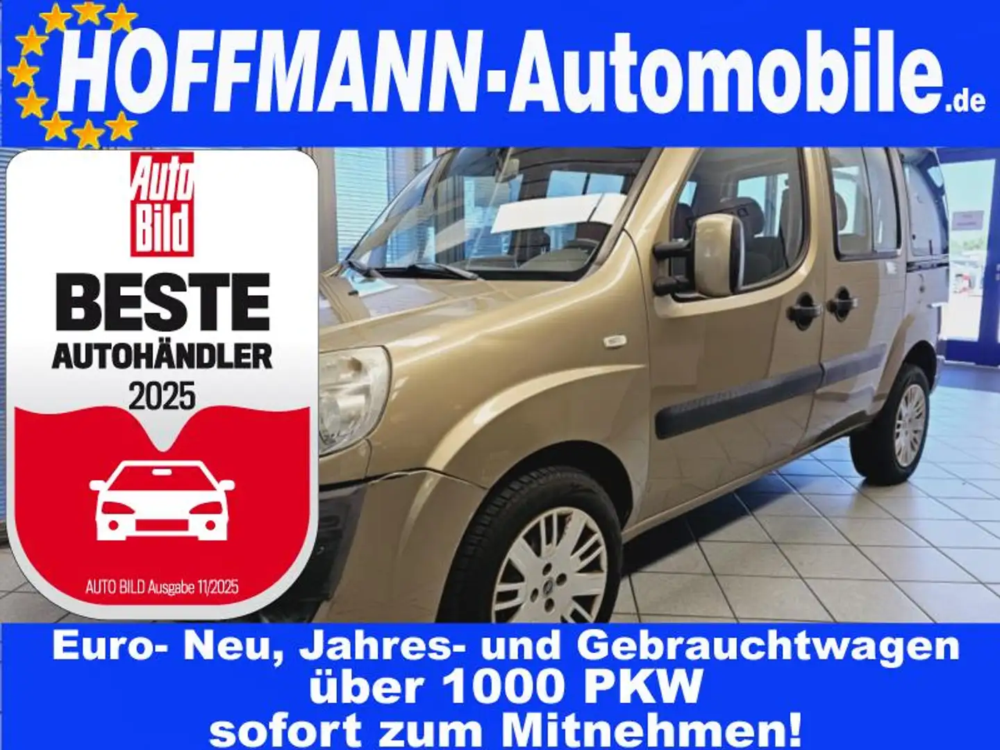 Fiat Doblo Active ohne Tüv Bruin - 1