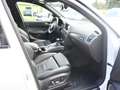 Audi Q5 2.0 TFSi S-line quattro Aut Pano Navi Xen 20´ Blanc - thumbnail 11