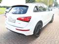 Audi Q5 2.0 TFSi S-line quattro Aut Pano Navi Xen 20´ Blanc - thumbnail 13