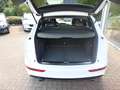Audi Q5 2.0 TFSi S-line quattro Aut Pano Navi Xen 20´ Blanc - thumbnail 9