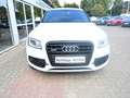 Audi Q5 2.0 TFSi S-line quattro Aut Pano Navi Xen 20´ Blanc - thumbnail 15
