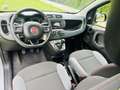 Fiat Panda 1.0 GSE Hybrid Sport firefly - thumbnail 10