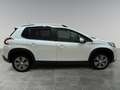 Peugeot 2008 2008 1.2 puretech t Signature s&s 110cv White - thumbnail 7