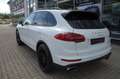 Porsche Cayenne 3.0 d SPORTPAKET PANO/NAVI/KAM/ PDLS/AHK Weiß - thumbnail 6