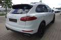Porsche Cayenne 3.0 d SPORTPAKET PANO/NAVI/KAM/ PDLS/AHK Weiß - thumbnail 7