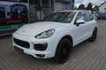 Porsche Cayenne 3.0 d SPORTPAKET PANO/NAVI/KAM/ PDLS/AHK Weiß - thumbnail 1
