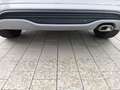 Ford Puma ST-Line 1.0 EcoBoost Mild Hybrid EU6d Grau - thumbnail 12
