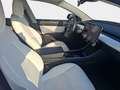 Tesla Model 3 Standard Range Plus RWD Grau - thumbnail 15