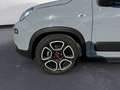 Fiat Panda 1.0 FireFly S&S Hybrid City Life Grigio - thumbnail 15