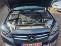 Mercedes-Benz C 250 (BlueTEC) d 4Matic T 7G-TRONIC Avantgarde Scheckh. Grau - thumbnail 11